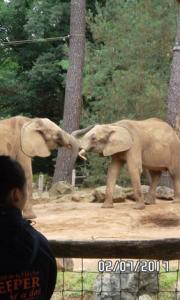 ZOO 14